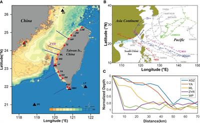 Asymmetry response of storm surges along the eastern coast of the Taiwan Strait